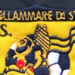juve-stabia,-il-tecnico-pagliuca-vince-la-panchina-d’oro:-decisiva-la-storica-promozione-in-b