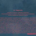 liberato-come-sempre-il-9-maggio-lancia-un-nuovo-brano.-e-ringrazia-mctominay