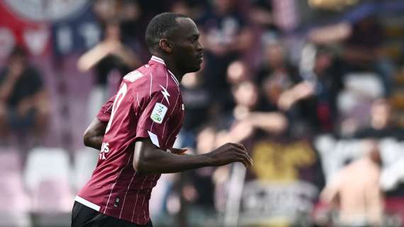 sampdoria-salernitana,-le-formazioni-del-play-out:-le-scelte-di-evani-e-marino