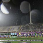 stadio-franchi,-ponteggi-e-incertezza-in-vista-di-fiorentina-napoli