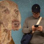 la-proposta-europea-“chat-control”-e-stata-accantonata