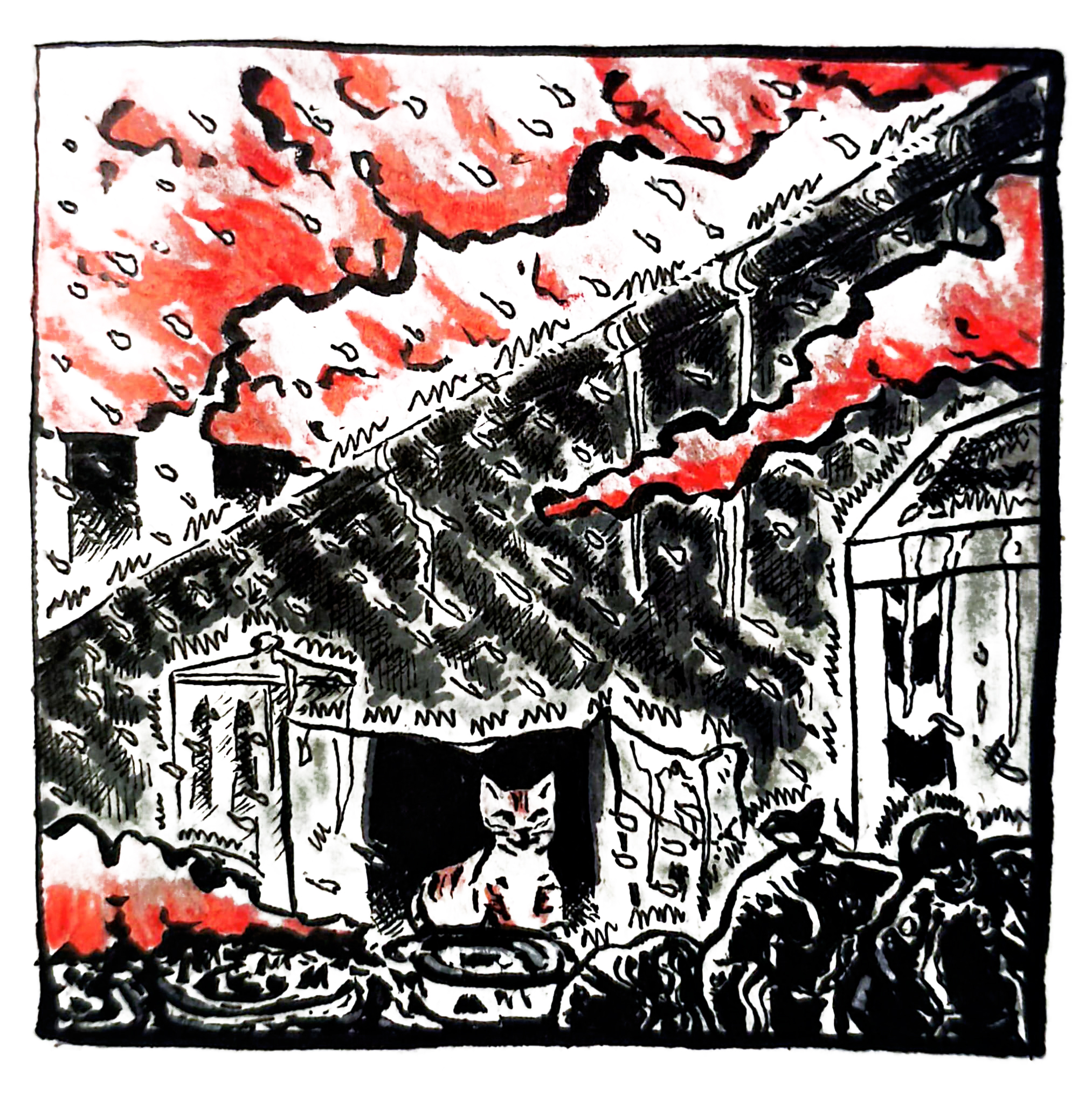 dalla-memoria-all’azione.-un’assemblea-del-movimento-basta-impianti-nell’agro-caleno