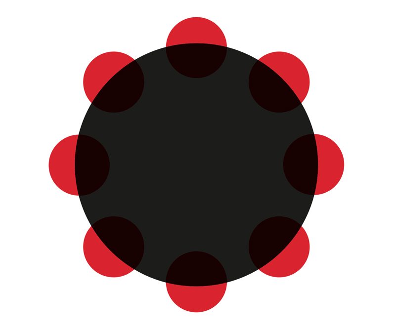 scioperi-e-serenate-da-tricarico-a-torino-e-ritorno.-un-estratto-del-libro