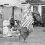 “siamo-ancora-qua!”.-ostinazione-e-ambiguita-nel-mercato-dell’albergheria-di-palermo