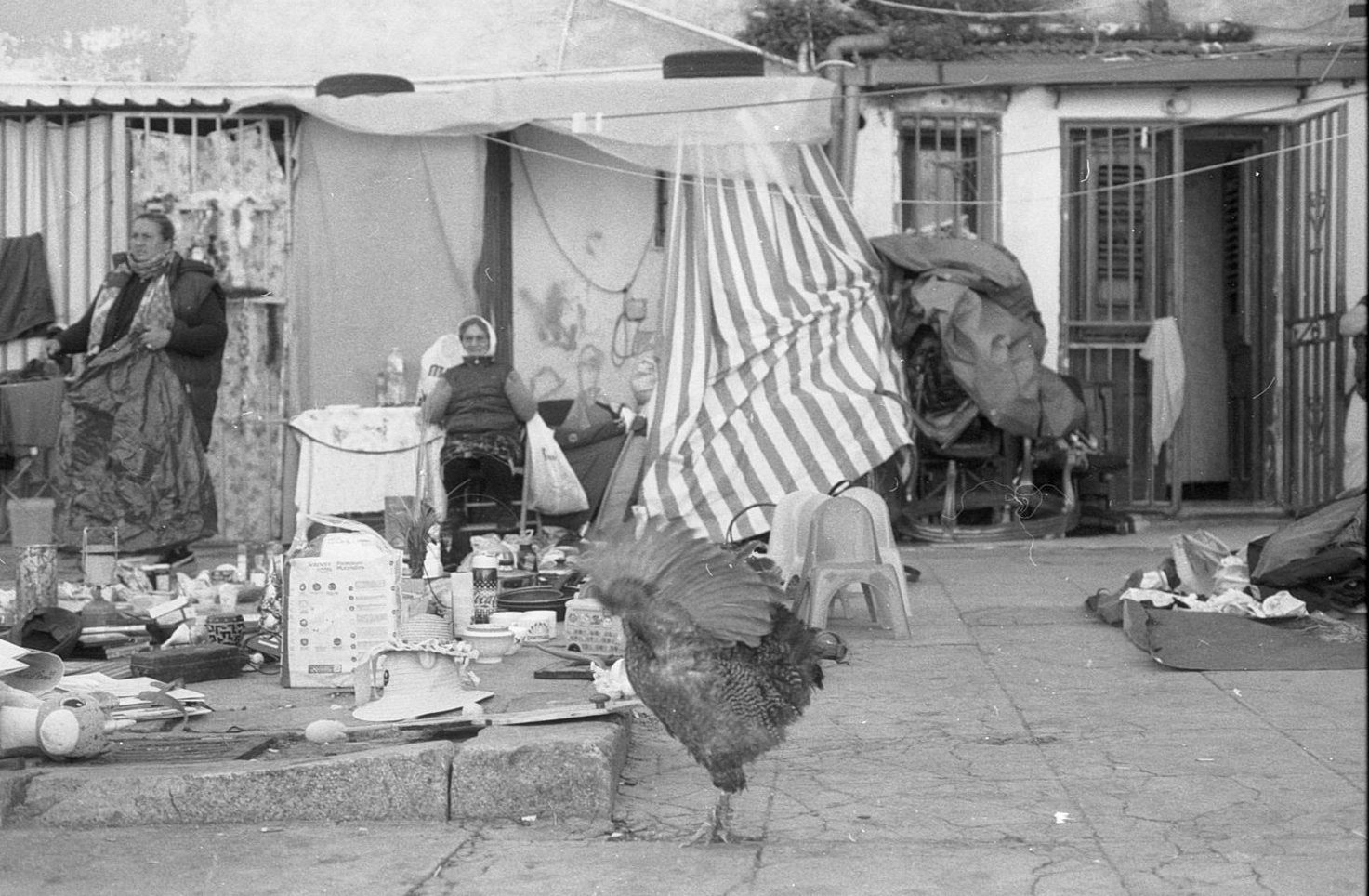 “siamo-ancora-qua!”.-ostinazione-e-ambiguita-nel-mercato-dell’albergheria-di-palermo