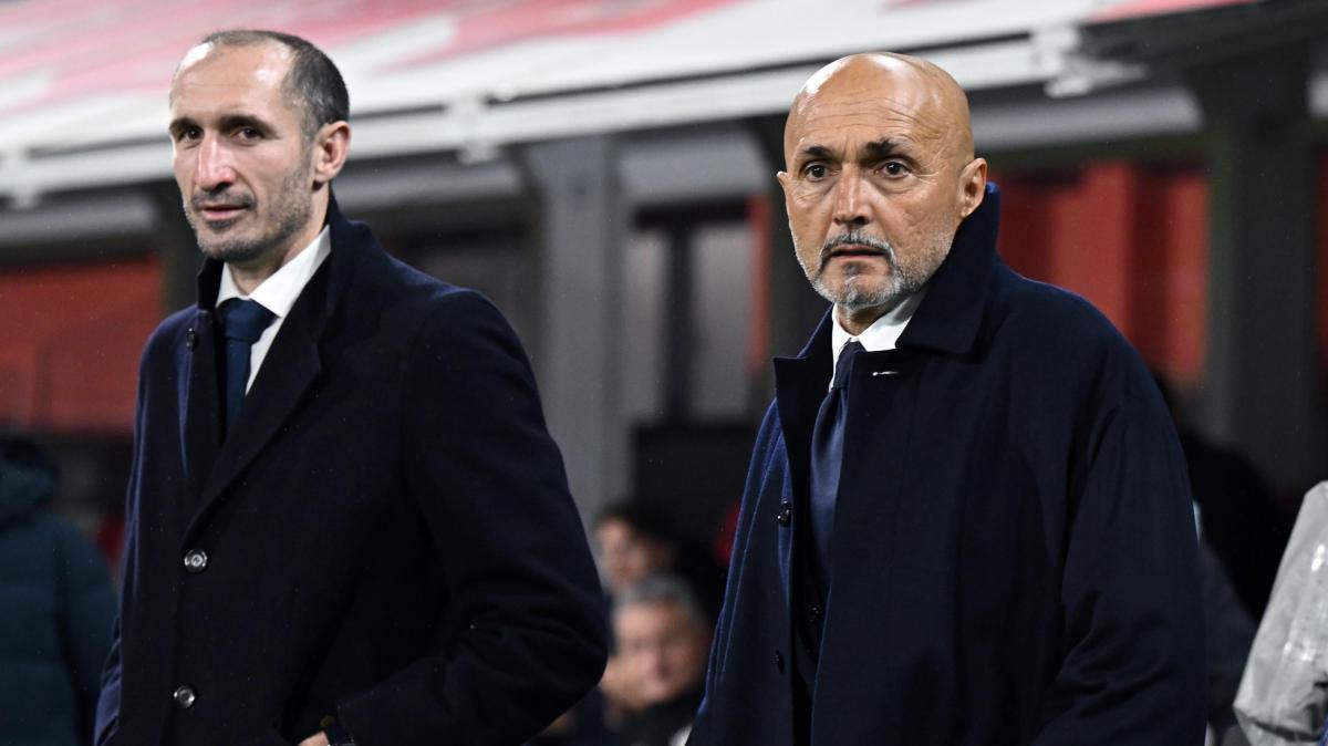 spalletti-in-silenzio,-parla-chiellini:-“inaccettabile!-arbitri-non-all’altezza,-rocchi-neppure-era-qui!”