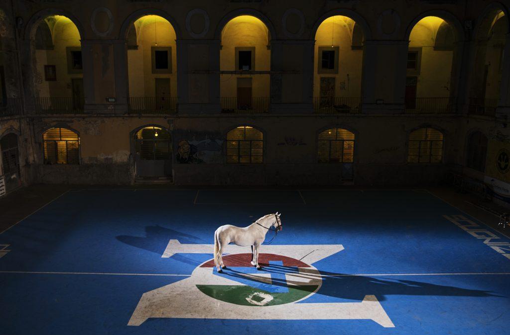 centenario,-la-sscnapoli-presenta-le-iniziative:-dall’1-agosto-al-corsiero,-tutti-i-dettagli