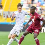 altro-acquisto-della-fiorentina:-dopo-il-crollo-col-frosinone-arriva-il-decimo-colpo-dal-torino