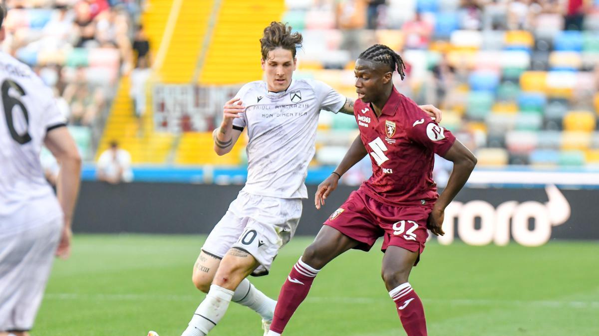 altro-acquisto-della-fiorentina:-dopo-il-crollo-col-frosinone-arriva-il-decimo-colpo-dal-torino