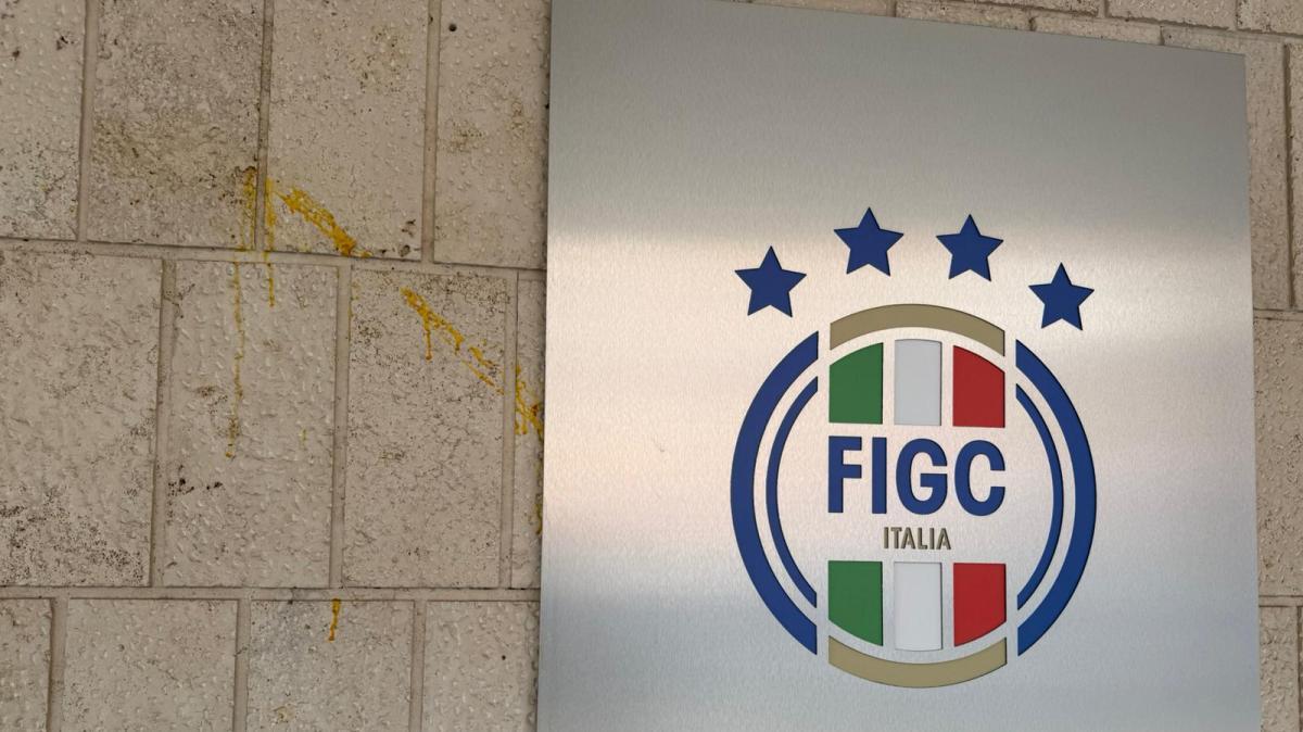 un-altro-caso-in-figc:-chiesti-nuovi-documenti-sull’incarico-di-bianchedi
