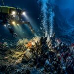 un-robot-esplora-l’oceano-a-4.500-metri-e-scopre-dati-allarmanti